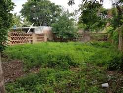 imagen de TERRENO EN VENTA EN MEZCALES!!!_4