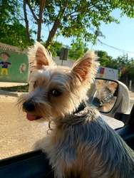 imagen de $20 MIL PESOS RECOMPENSA $_4