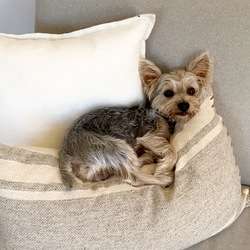 imagen de $20 MIL PESOS RECOMPENSA $_4