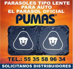 imagen de PARASOLES PROMOCIONALES PARA AUTOS_4