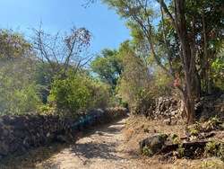 imagen de Terreno en San Sebastian del Oeste_4