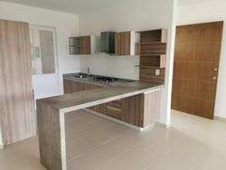 imagen de Firmamento_4