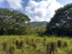 imagen de Terreno en venta en el Tuito, Jalisco._4