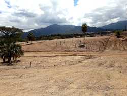 imagen de TERRENOS A FACILIDADES DE PAGO_4