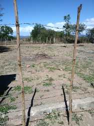 imagen de TERRENO EN VENTA_4