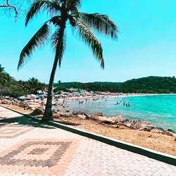 imagen de Opportunity Chacala, riviera nayarit _4