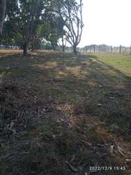 imagen de Traspaso Terreno(s) a 15 min playa de Bucerías Nay_4