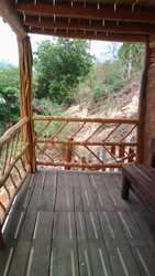 imagen de PALAPAS DE PALMA NATURAL _4