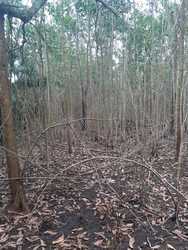 imagen de Venta de Fincas en todo el pais!_4