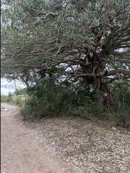 imagen de Terrenos de oportunidad_4