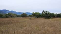 imagen de Terrenos Campestres para Cabanas_5