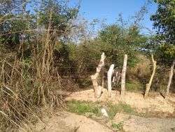 imagen de vendo terreno en tomatlan jalisco_5