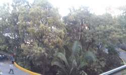 imagen de urgente venta_5