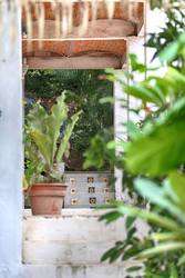 imagen de Vendo Casa en Sayulita Nay.Excelente Ubicacion _5