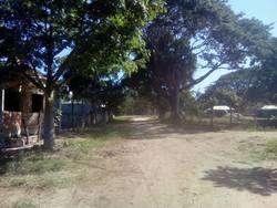 imagen de EL ZANCUDO DELEGACION DE  PUERTO VALLARTA_5