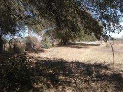 imagen de VENTA TERRENO EN IXTAPA PUERTO VALLARTA_5