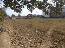 imagen de TERRENO COMERCIAL JUNTAS-IXTAPA PUERTO VALLARTA_5