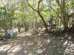 imagen de terreno de 100x166,66_5