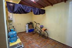 imagen de Terralta 1 Cedro 141_5