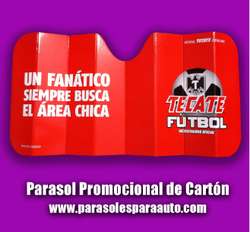 imagen de AROMATIZANTES PARA AUTO_5