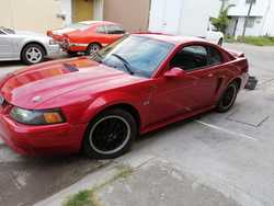 imagen de Mustang GT 2000_5