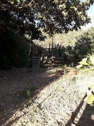 imagen de Venta de Terreno en Sn Sebastian del Oeste_5