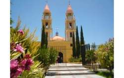 imagen de TERRENO CAMPESTRE LEON_5