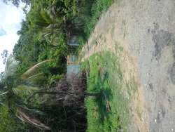 imagen de Se vende terreno en San Francisco Nay_5