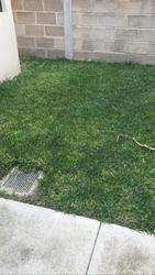 imagen de SE RENTA casa en el Campestre_5