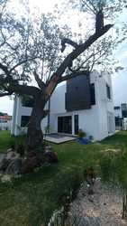 imagen de casa minimalista con alberca Oaxtepec  Morelos_5