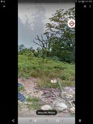 imagen de  se vende 12,000 metros cuadrados en en Mezcales_5