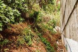 imagen de Lote Pulpito S/N Pulpito_5