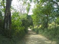 imagen de Terreno en venta en el Tuito, Jalisco._5