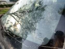 imagen de Ford Fiesta IKON 2011_5