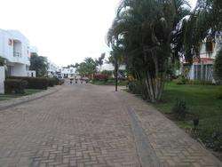 imagen de 3 BR House for rent (long term) Rincon del Cielo_5