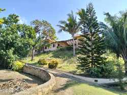 imagen de Se Vende Rancho Los Nancis Higuera Blanca, Nayarit_5