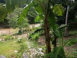 imagen de Se renta Casa en Boca de Tomatlán_5