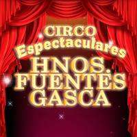 Logo de Hnos. Fuentes Gasca