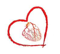 Logo de DR HECTOR GONZALEZ ZAMBRANO