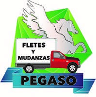 Logo de New store