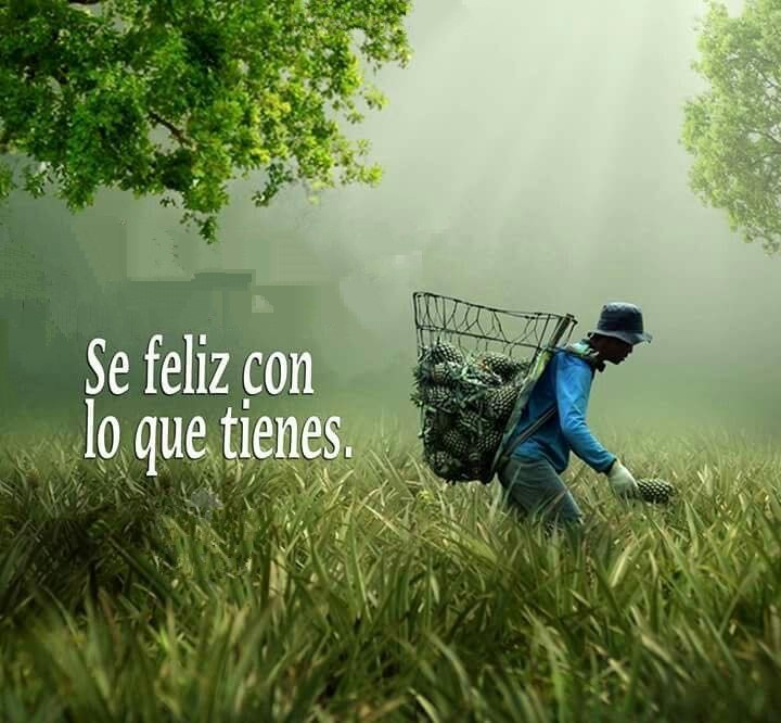 New store perfil 567a108416baa67d