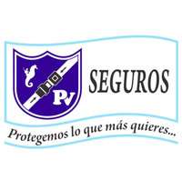 Logo de PV Seguros