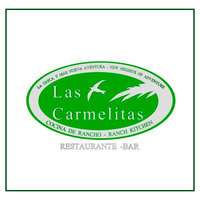 Logo de Las Carmelitas 