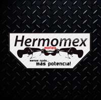 Logo de Mofles Hermomex