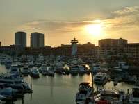 Thumbnail new store perfil 248920ae41926764