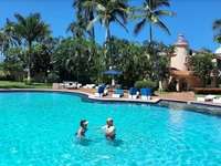 Logo de Condominio Isla Iguana