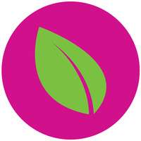 Logo de Veggie Table