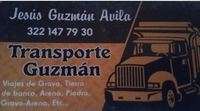 Logo de Transporte Guzmán 