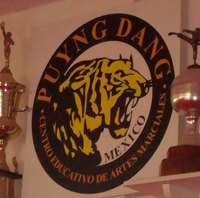 Logo de Taekwondo Puyng Dang