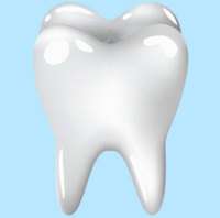 Logo de Dra. Valle Lozano Teresa